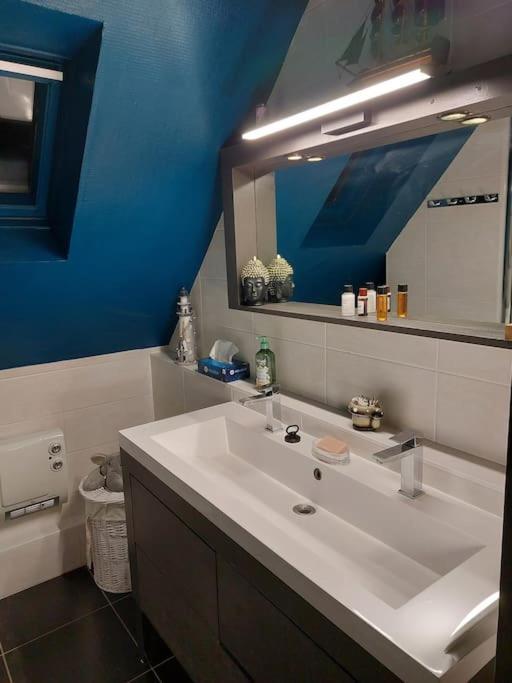 Bel Appartement 50 M2 Aux Portes De Strasbourg De 1 A 5 Personnes Chez Particuliers Avec 2 Sdb Coin Cuisine-Repas Et Kitchinette Prix Negociable Pour 1 Personne Венденайм Экстерьер фото
